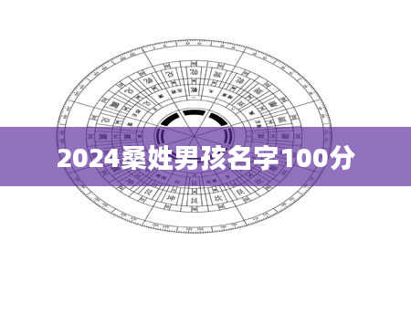 2024桑姓男孩名字100分