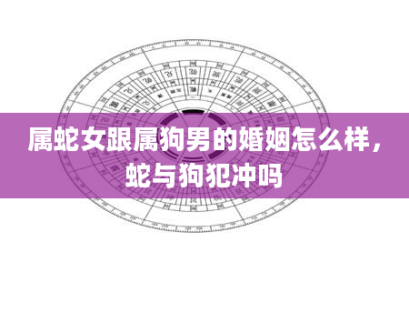属蛇女跟属狗男的婚姻怎么样,蛇与狗犯冲吗