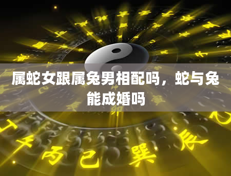 属蛇女跟属兔男相配吗,蛇与兔能成婚吗