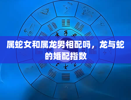 属蛇女和属龙男相配吗,龙与蛇的婚配指数