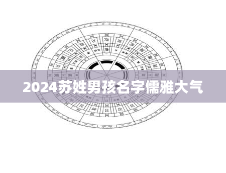 2024苏姓男孩名字儒雅大气