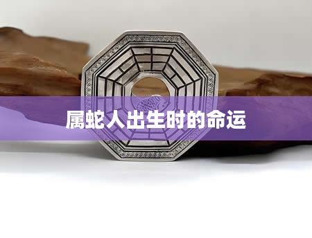 属蛇人出生时的命运