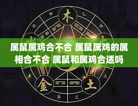 属鼠属鸡合不合 属鼠属鸡的属相合不合 属鼠和属鸡合适吗