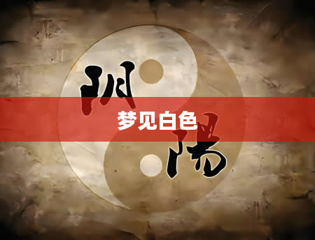 梦见白色