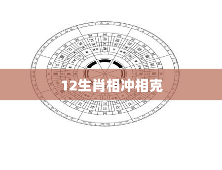 12生肖相冲相克