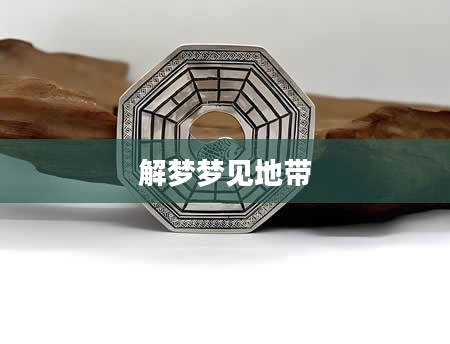 解梦梦见地带