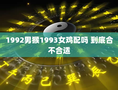 1992男猴1993女鸡配吗 到底合不合适