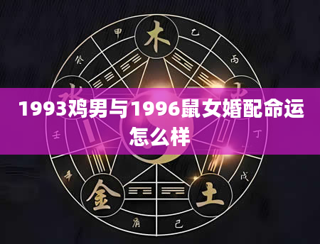 1993鸡男与1996鼠女婚配命运怎么样