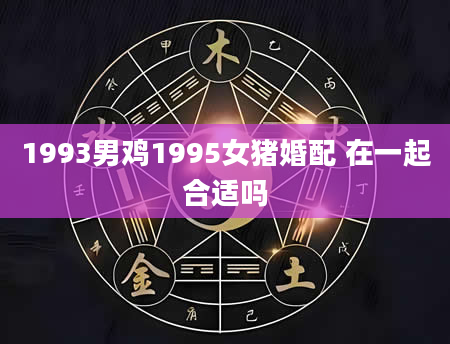 1993男鸡1995女猪婚配 在一起合适吗