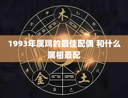1993年属鸡的最佳配偶 和什么属相最配