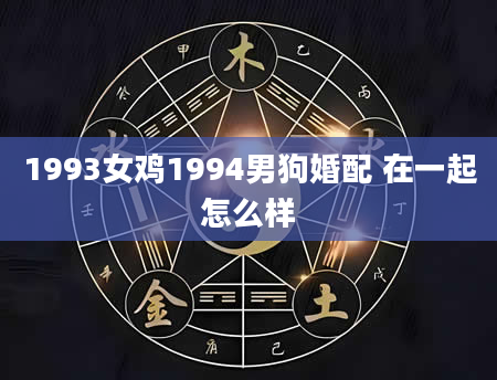 1993女鸡1994男狗婚配 在一起怎么样