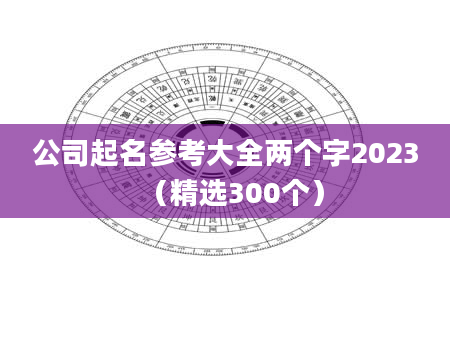 公司起名参考大全两个字2023(精选300个)