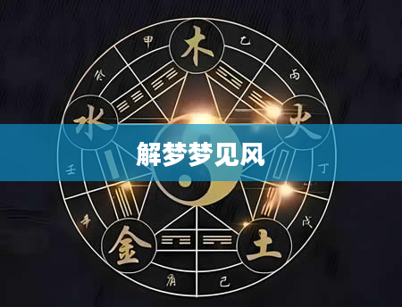 解梦梦见风