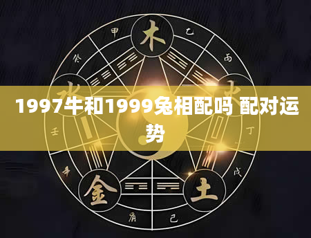 1997牛和1999兔相配吗 配对运势