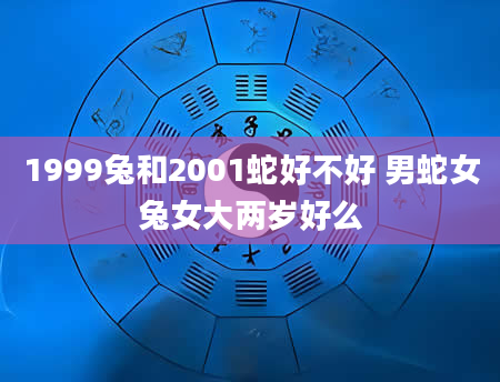 1999兔和2001蛇好不好 男蛇女兔女大两岁好么