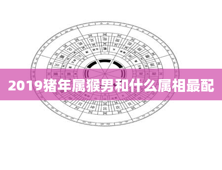 2019猪年属猴男和什么属相最配