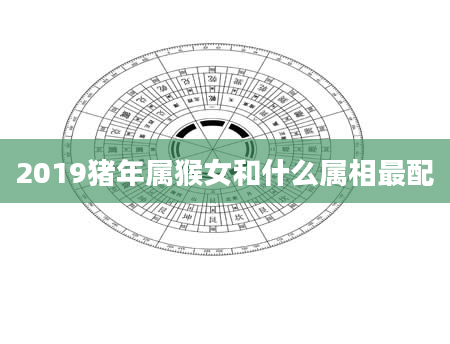 2019猪年属猴女和什么属相最配