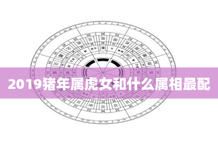 2019猪年属虎女和什么属相最配