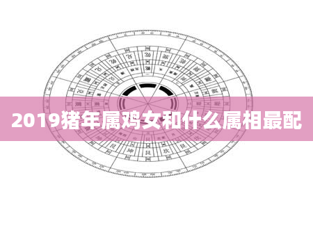 2019猪年属鸡女和什么属相最配
