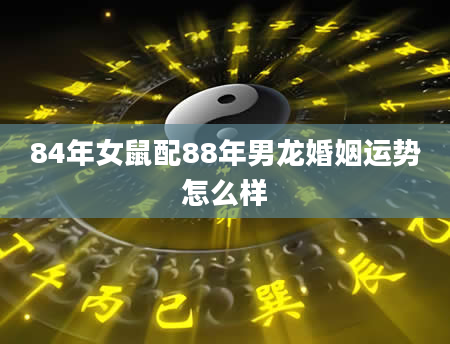 84年女鼠配88年男龙婚姻运势怎么样