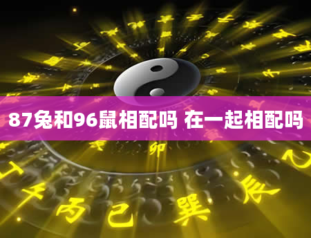87兔和96鼠相配吗 在一起相配吗