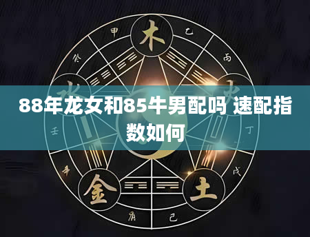 88年龙女和85牛男配吗 速配指数如何
