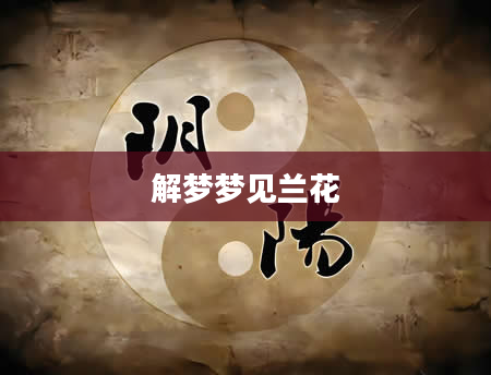 解梦梦见兰花