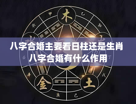 八字合婚主要看日柱还是生肖 八字合婚有什么作用