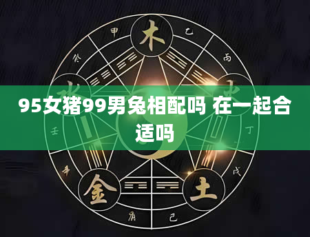 95女猪99男兔相配吗 在一起合适吗