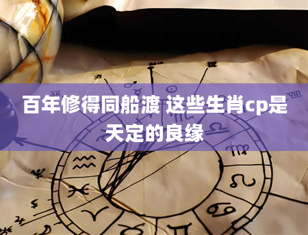 百年修得同船渡 这些生肖cp是天定的良缘