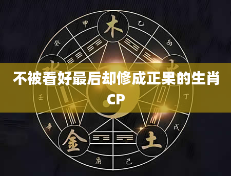 不被看好最后却修成正果的生肖CP