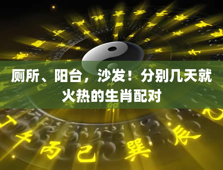 厕所、阳台,沙发!分别几天就火热的生肖配对