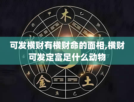 可发横财有横财命的面相,横财可发定富足什么动物