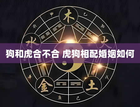 狗和虎合不合 虎狗相配婚姻如何