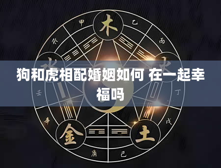 狗和虎相配婚姻如何 在一起幸福吗