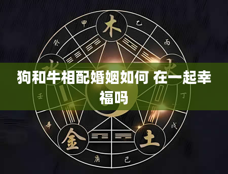 狗和牛相配婚姻如何 在一起幸福吗
