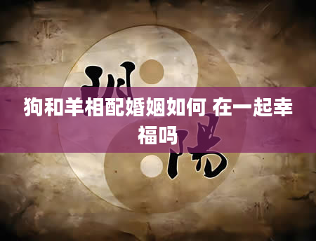 狗和羊相配婚姻如何 在一起幸福吗