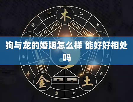 狗与龙的婚姻怎么样 能好好相处吗