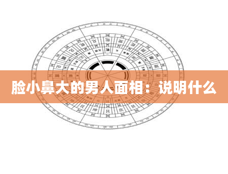 脸小鼻大的男人面相:说明什么