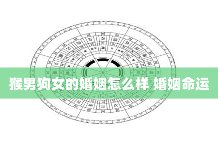 猴男狗女的婚姻怎么样 婚姻命运