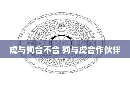 虎与狗合不合 狗与虎合作伙伴