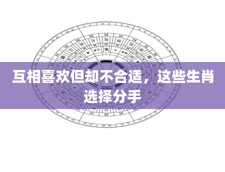 互相喜欢但却不合适,这些生肖选择分手