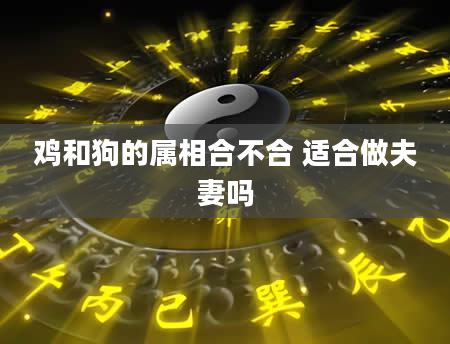 鸡和狗的属相合不合 适合做夫妻吗