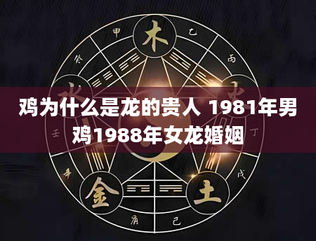 鸡为什么是龙的贵人 1981年男鸡1988年女龙婚姻