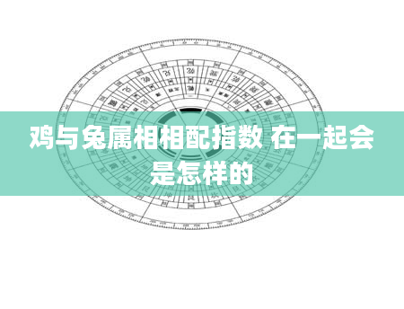 鸡与兔属相相配指数 在一起会是怎样的