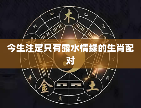 今生注定只有露水情缘的生肖配对