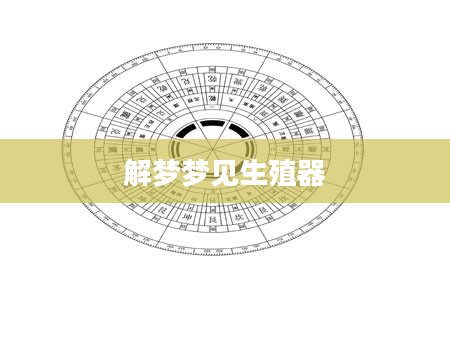 解梦梦见生殖器