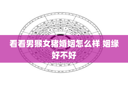 看看男猴女猪婚姻怎么样 姻缘好不好