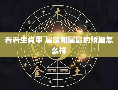 看看生肖中 属鼠和属鼠的婚姻怎么样