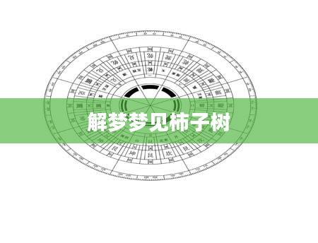 解梦梦见柿子树